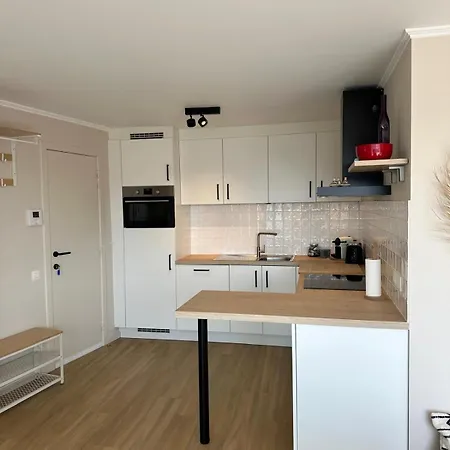 Charming Penthouse - Sunny - Terrace - Close To Sea And Restaurants Apartment Blankenberge